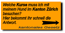 kantonales Gesetz Welche Kurse muss ich mit meinem Hund im Kanton Zrich  besuchen? Hier bekommt Ihr schnell die  Antwort.