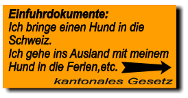 kantonales Gesetz Einfuhrdokumente: Ich bringe einen Hund in die Schweiz. Ich gehe ins Ausland mit meinem Hund in die Ferien,etc.